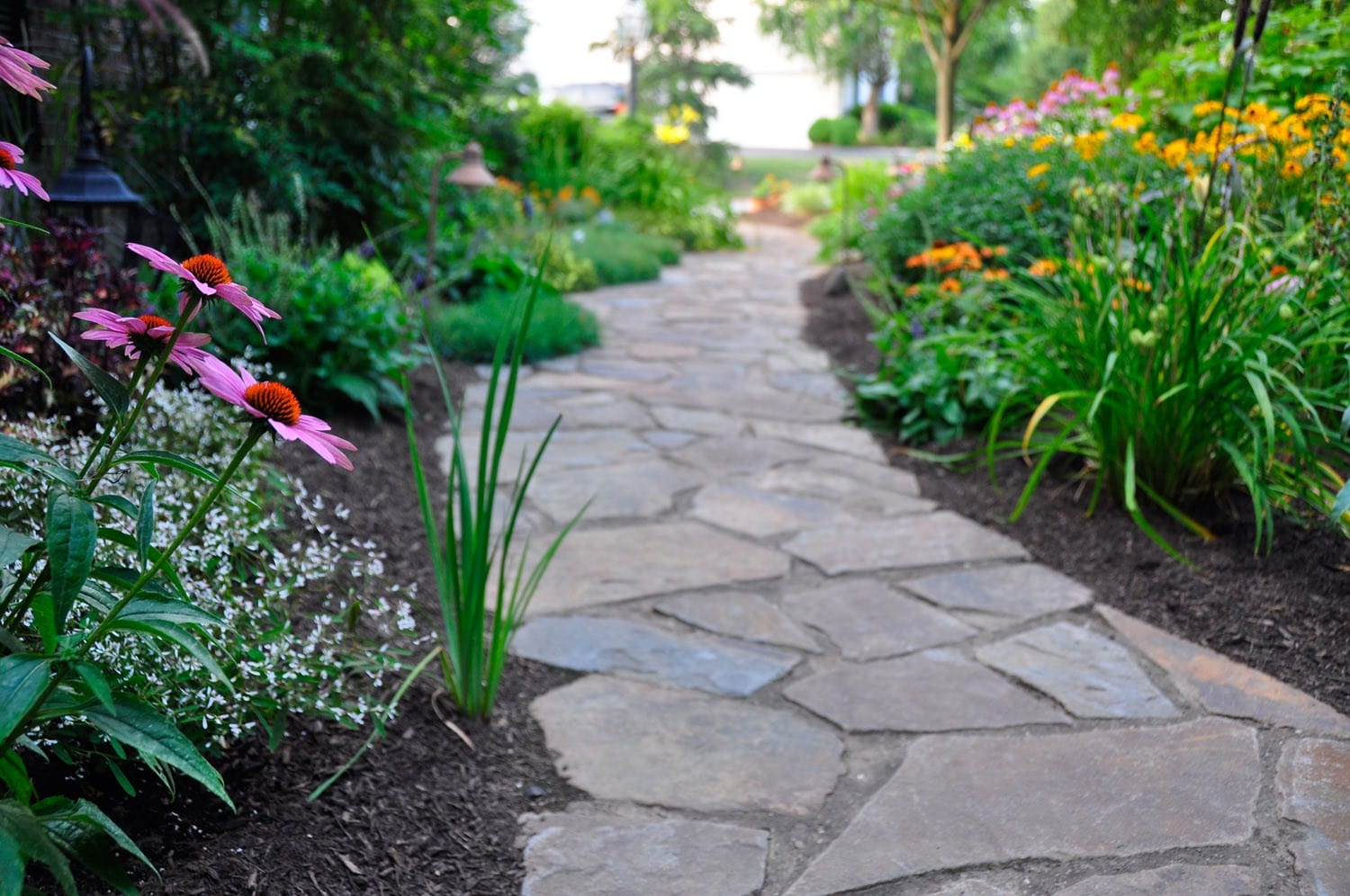 Cantu Nursery & Landscape