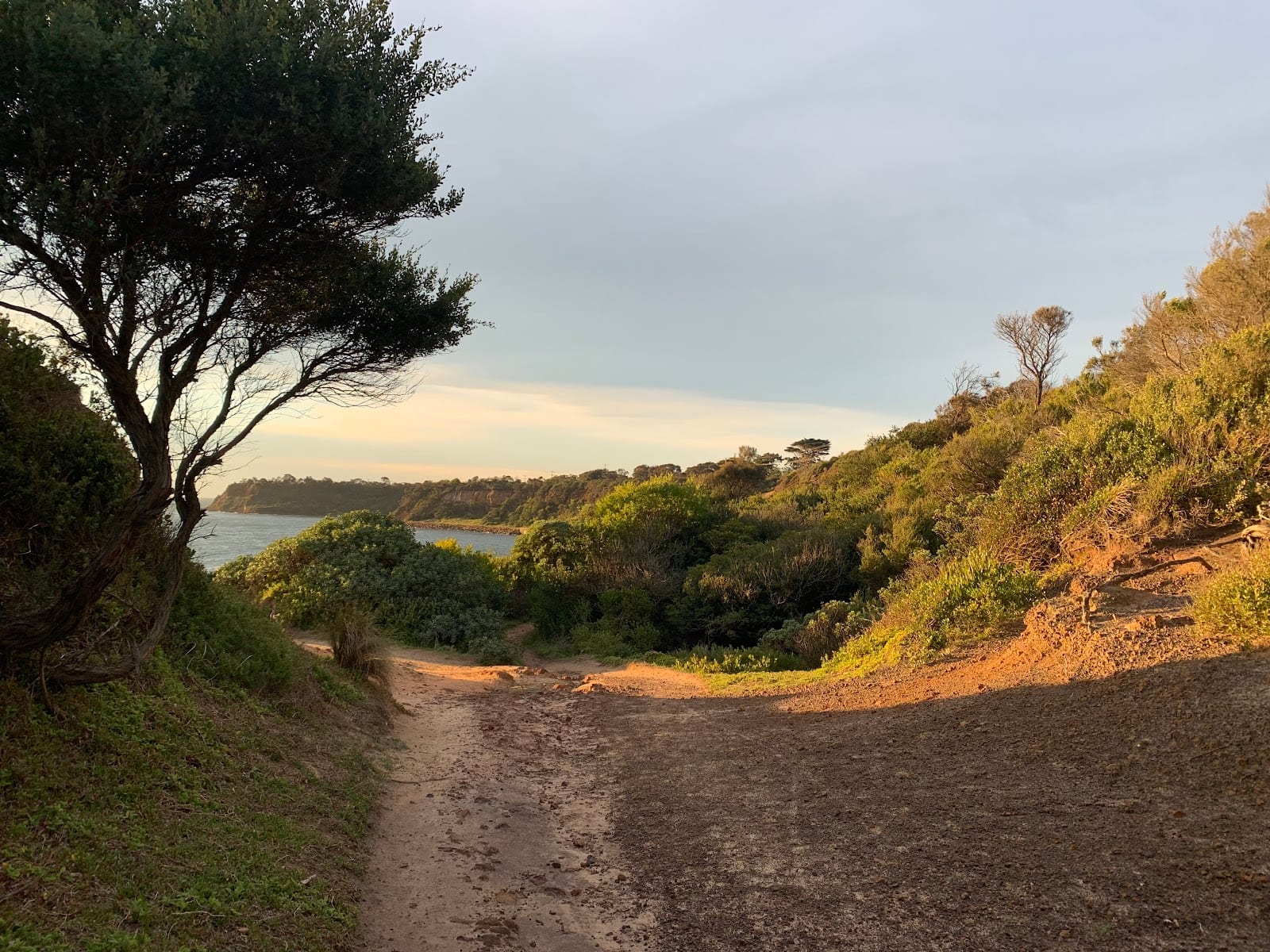 Fosters Beach Dog Off Leash Area, photo 2
