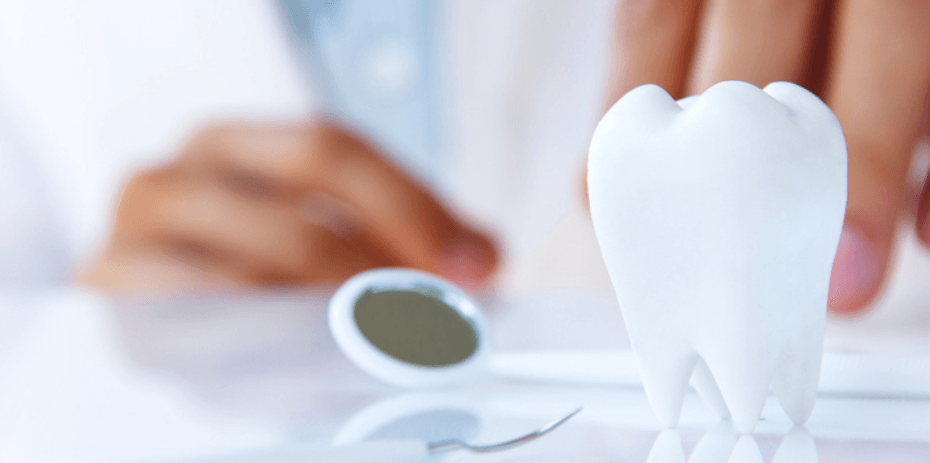 Willow Spring Family Dentistry, photo 4