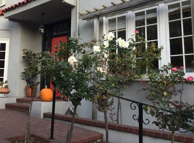 Sunset Edwardian Bed and Breakfast at Golden Gate Park, photo 4