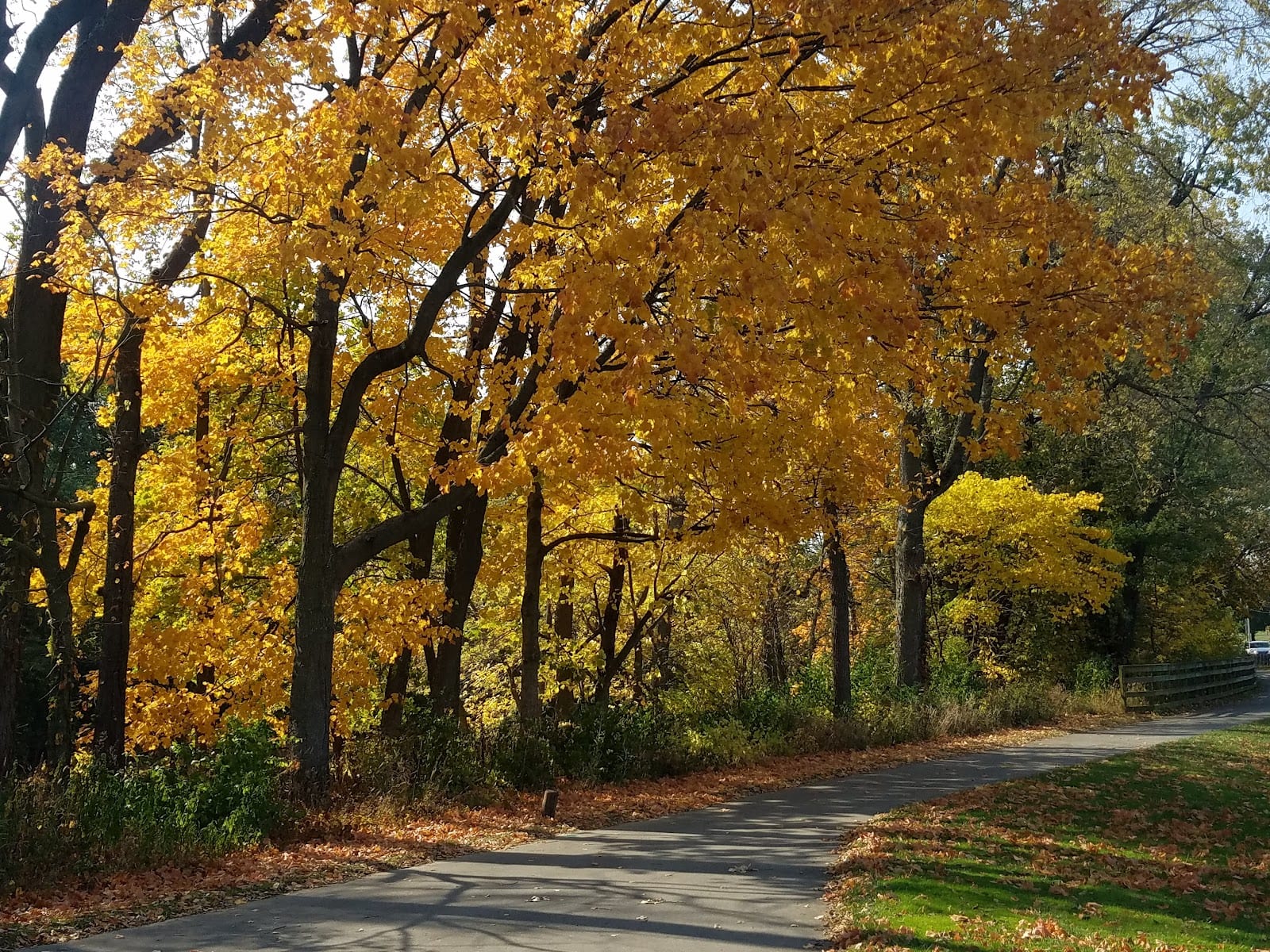 Maumee Trailhead, photo 2