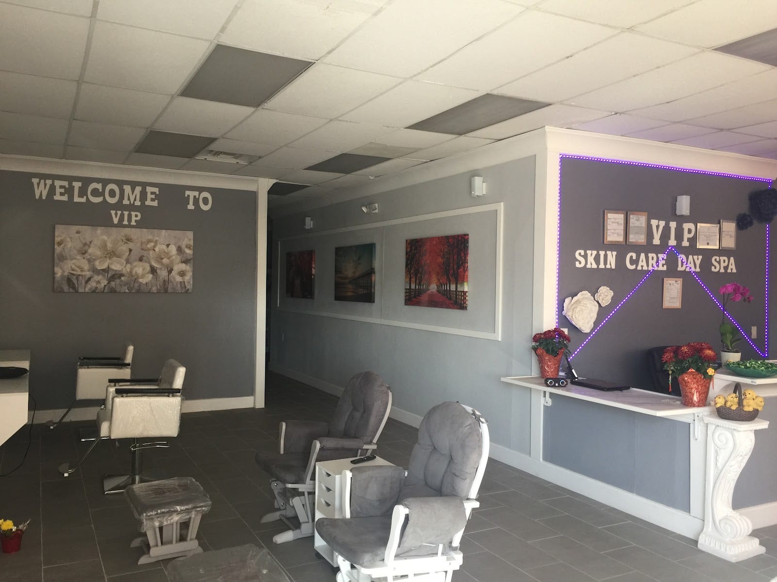 VIP Skincare Day Spa, photo 2