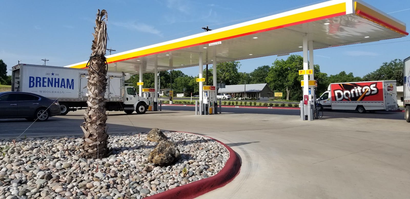 Shell, photo 3