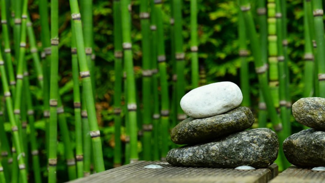 Bamboo Creek Spa, photo 2