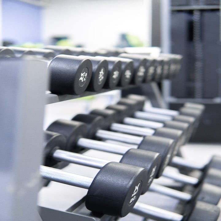 Iron Rehab, photo 2