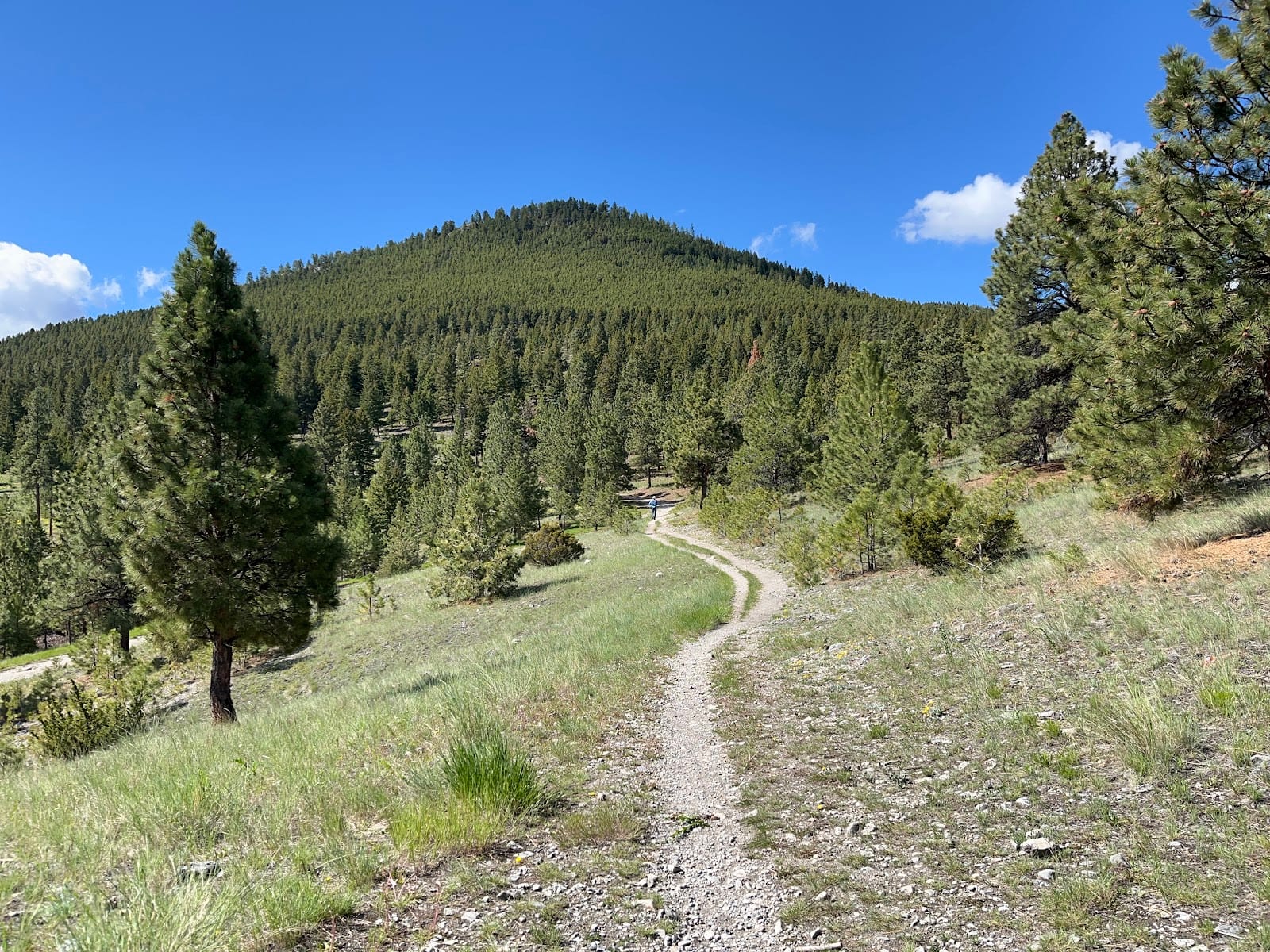 Beattie Street Trailhead for Mount Ascension