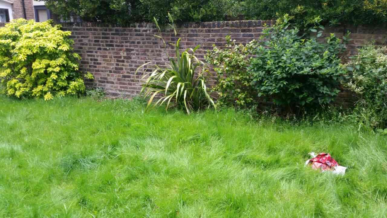 Great Gardeners