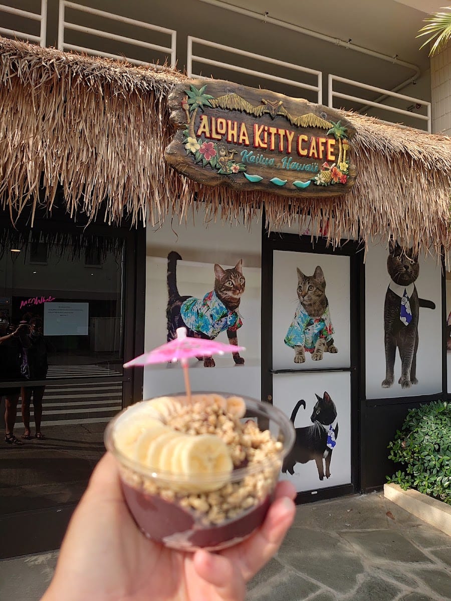 Aloha Kitty Cafe