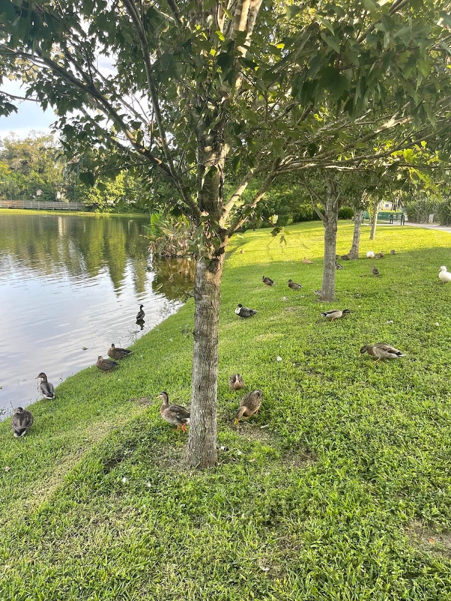 Robert L. Cole Sr. Community Lake, photo 3