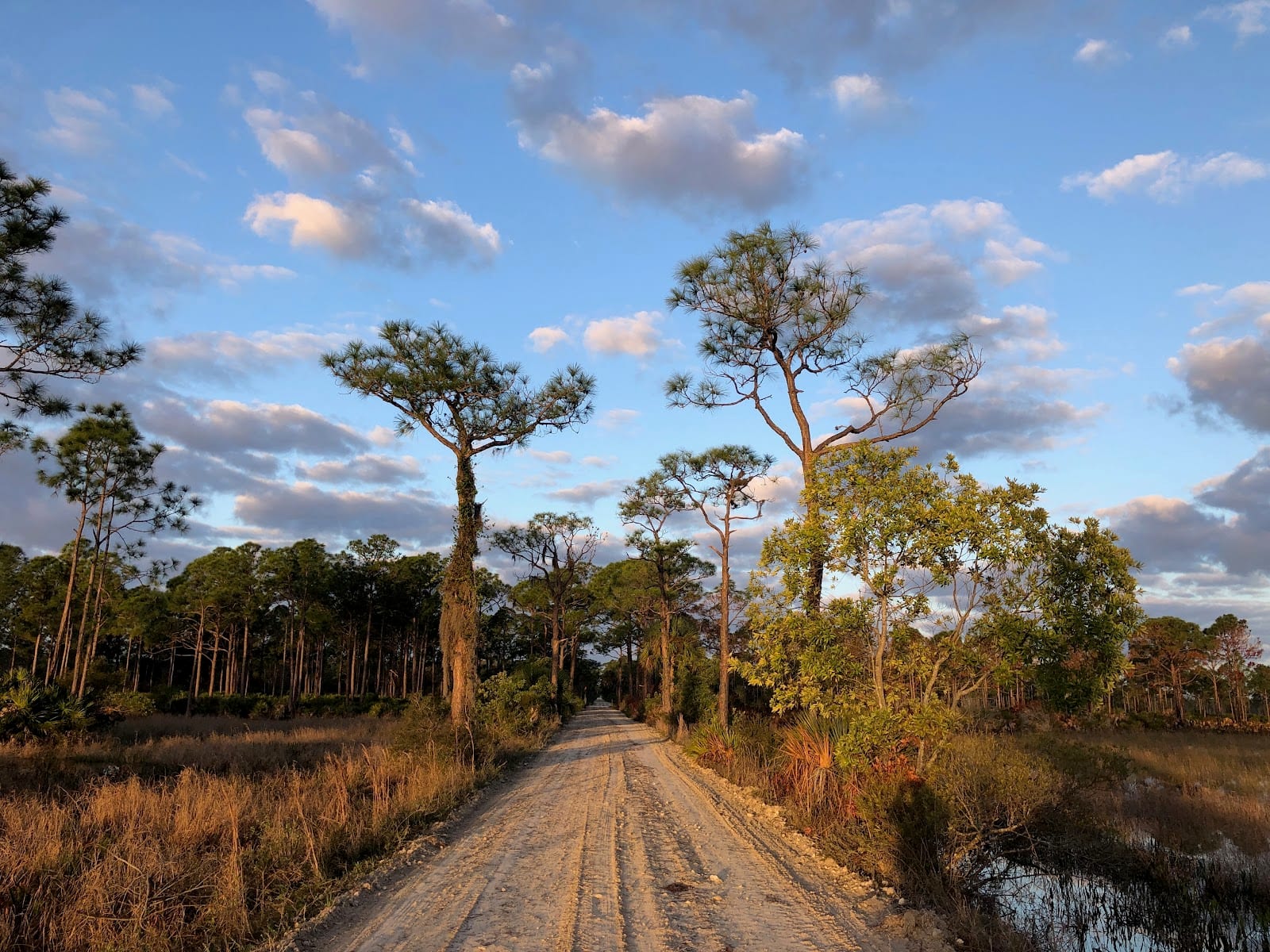 Fred C. Babcock/Cecil M. Webb Wildlife Management Area, photo 4