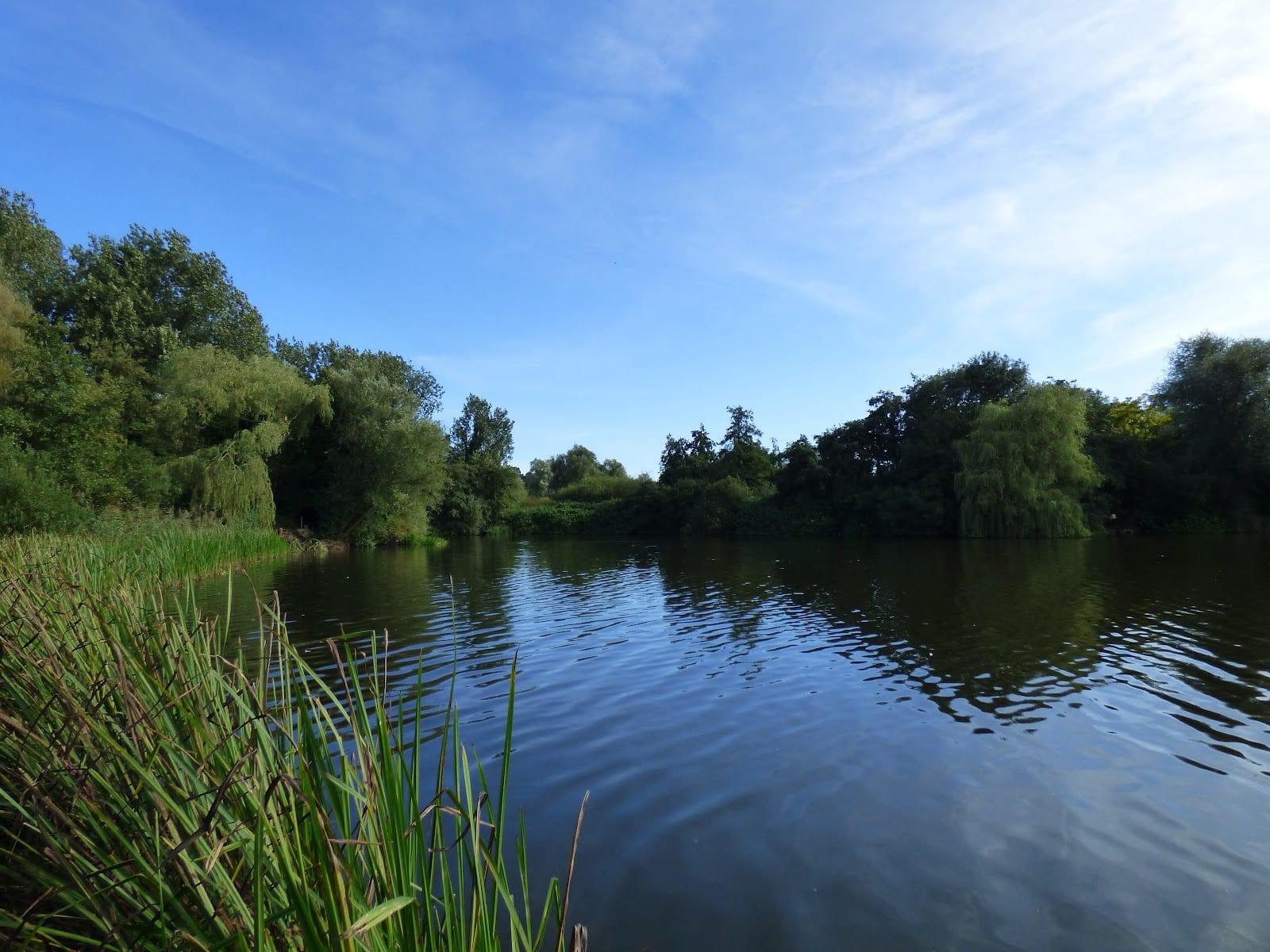 Eaton Park - West Car Park, photo 3