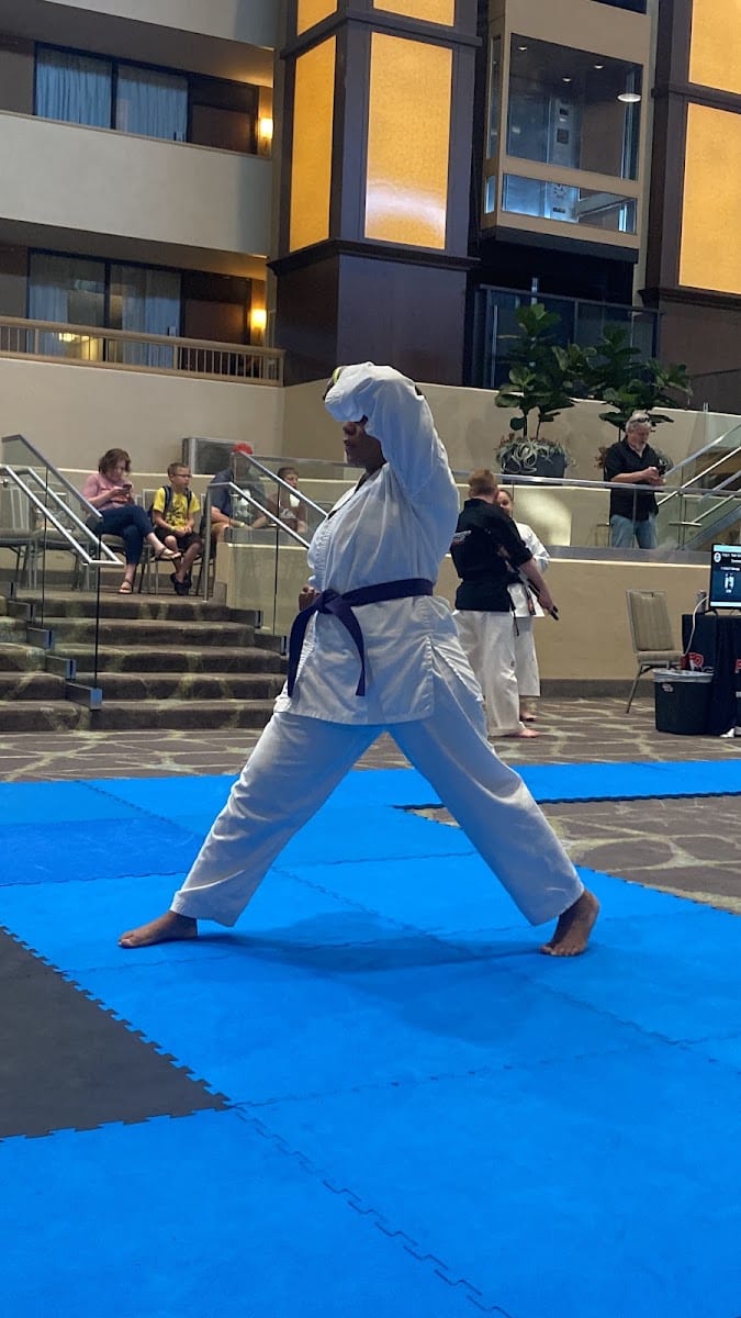 Pilsum Taekwondo Center, photo 2