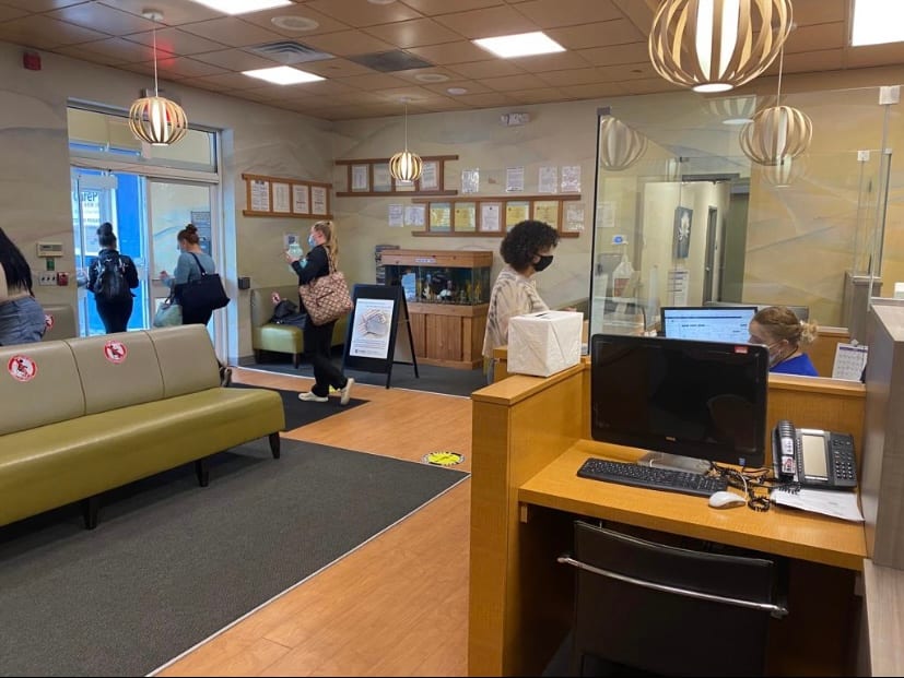 Care Plus NJ, Inc.