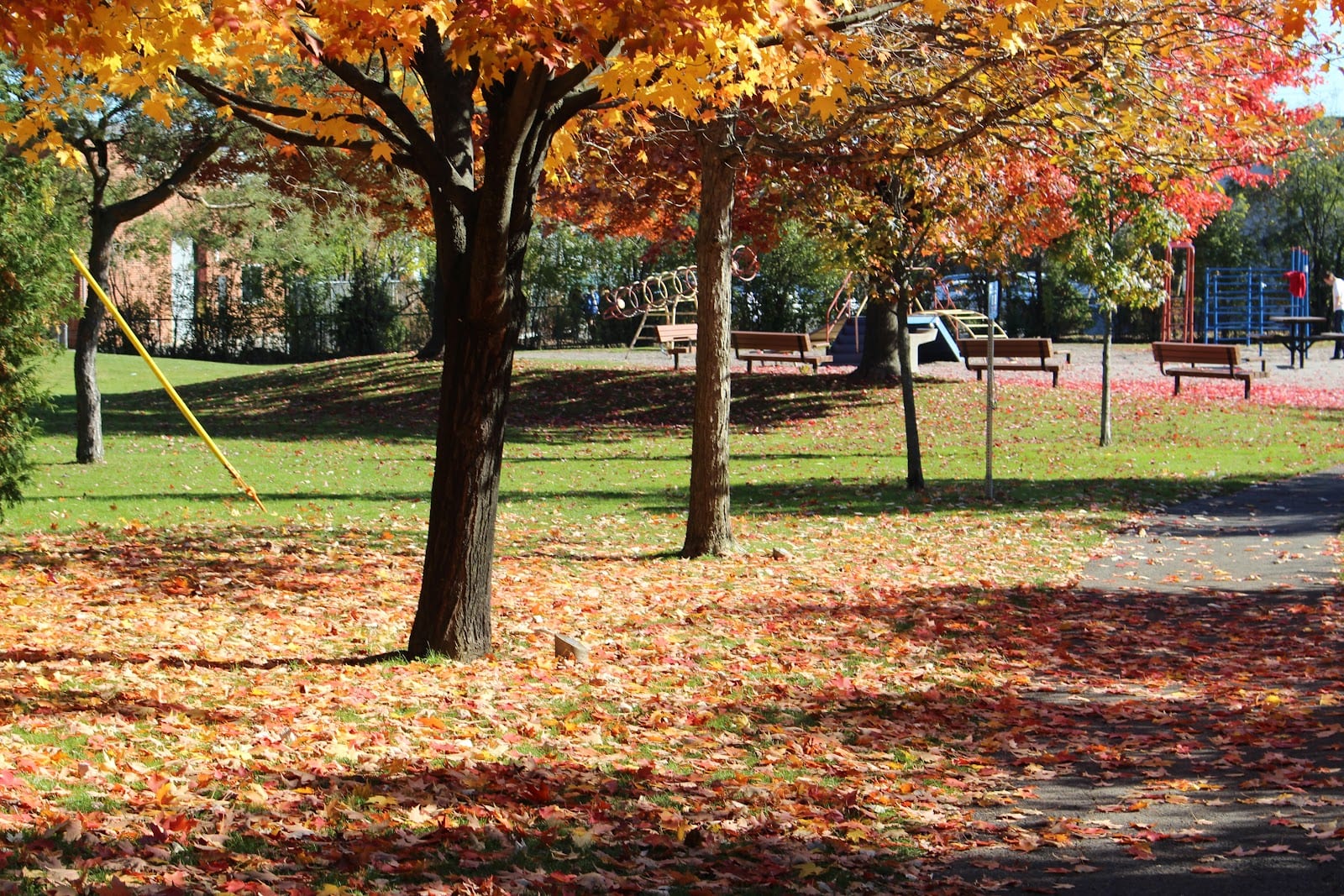 Southwell Park, photo 2