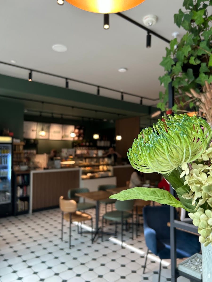 Kava Coffee House