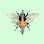 ChiroBee