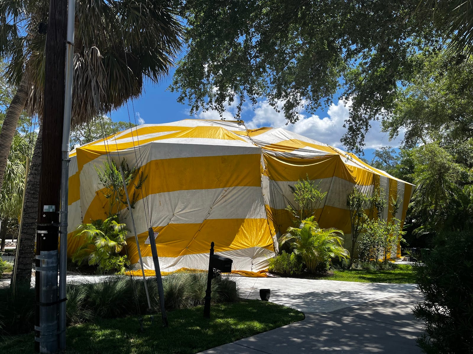 Haskell Termite & Pest Control Inc., photo 2