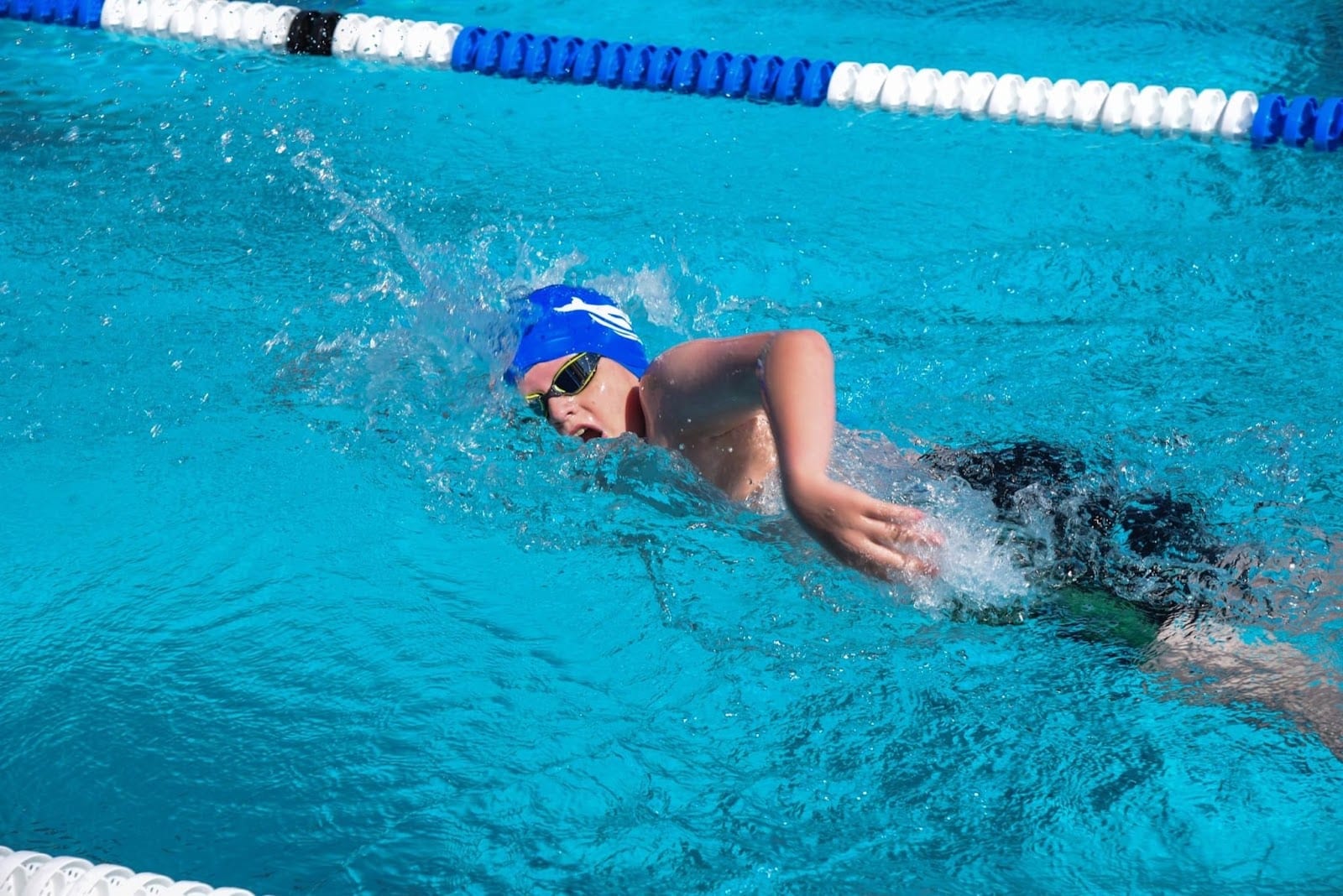 Helena Dolphins Swim Team