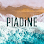 PIADiNE