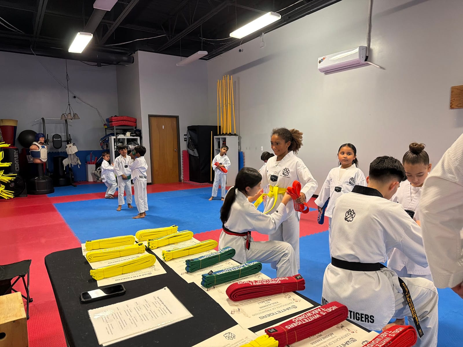 Noel’s WhiteTigers Taekwondo