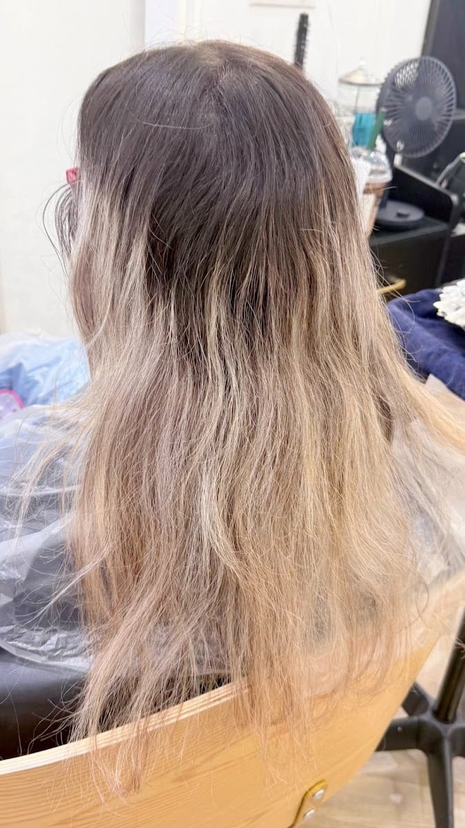 hair mina garmroudi, photo 2