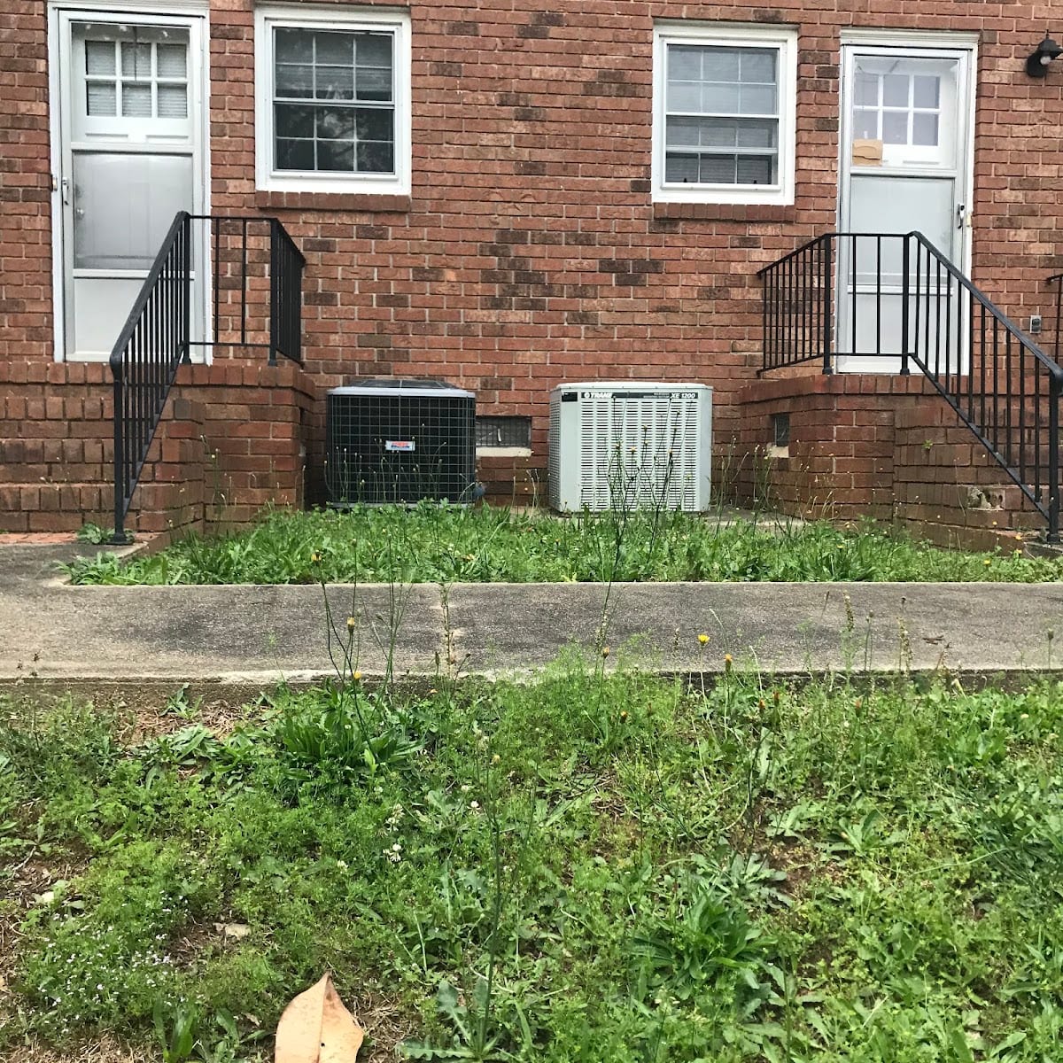 Azalea Realty LLC