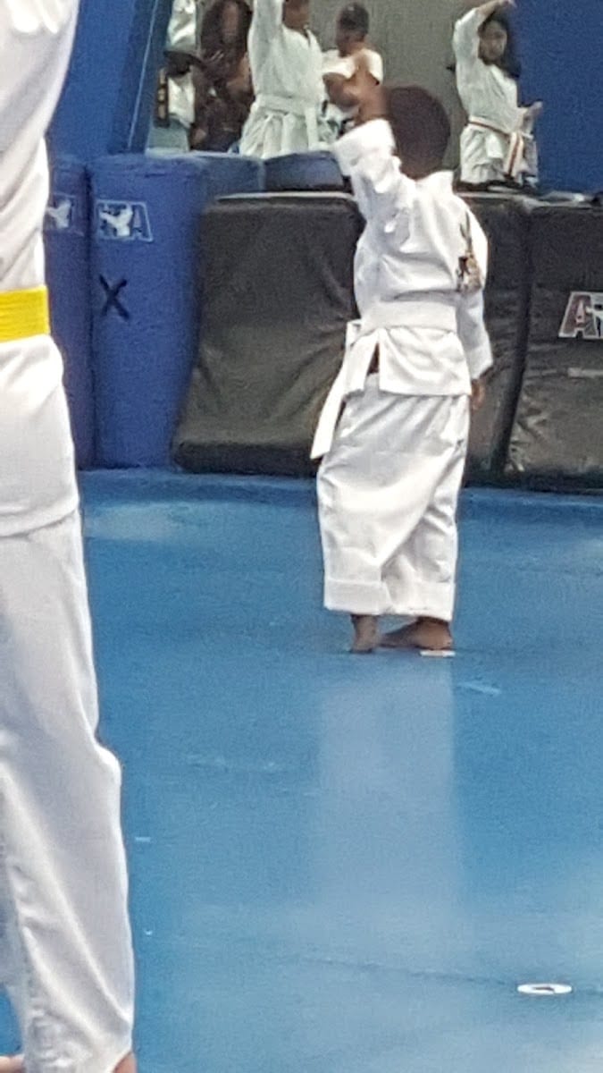 Premium Martial Arts, photo 4