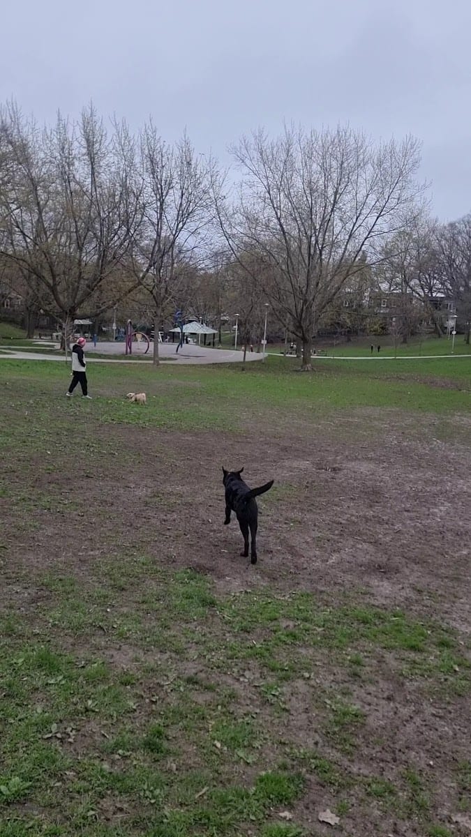 Cassels Park, photo 2