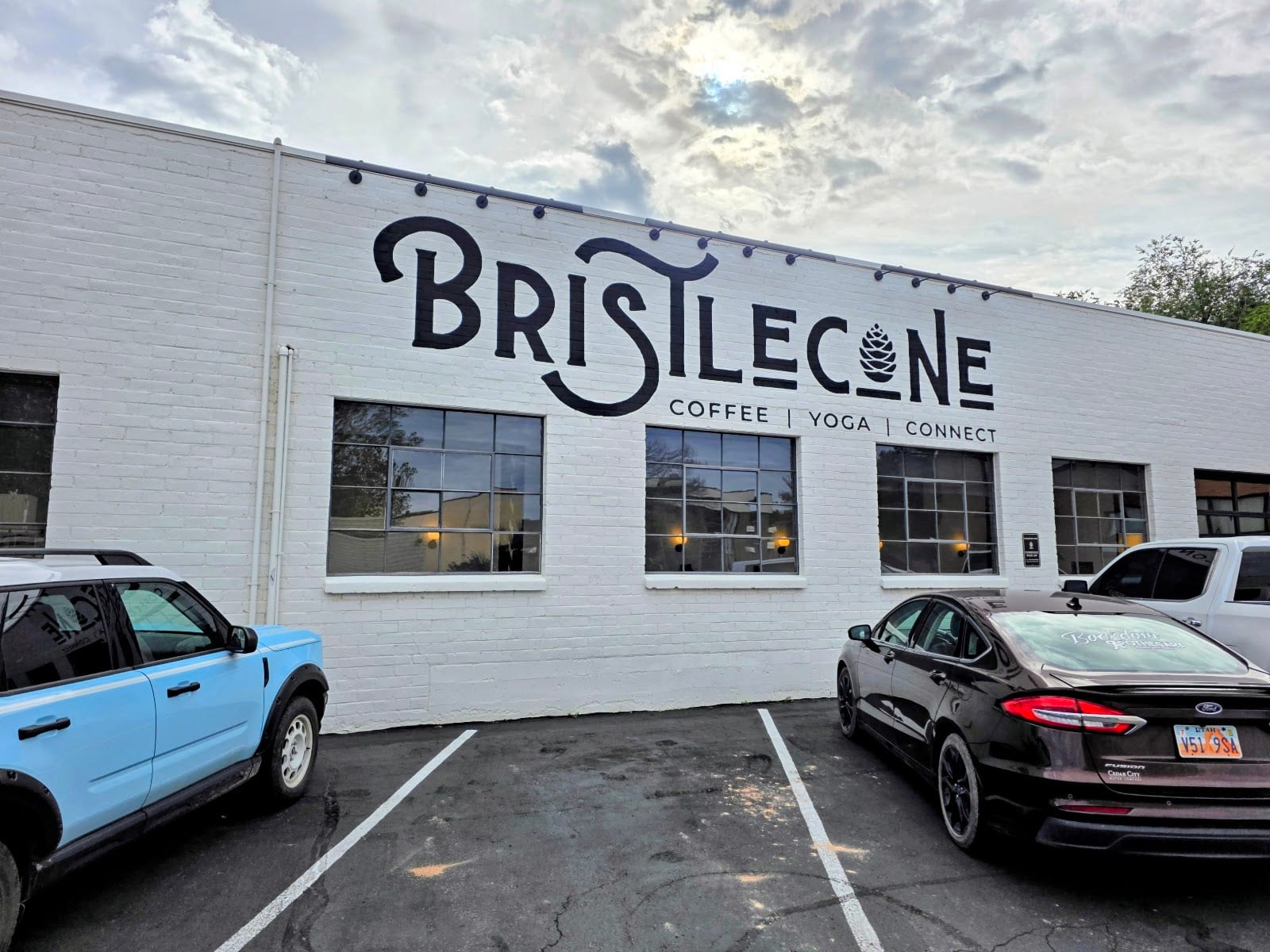 Bristlecone