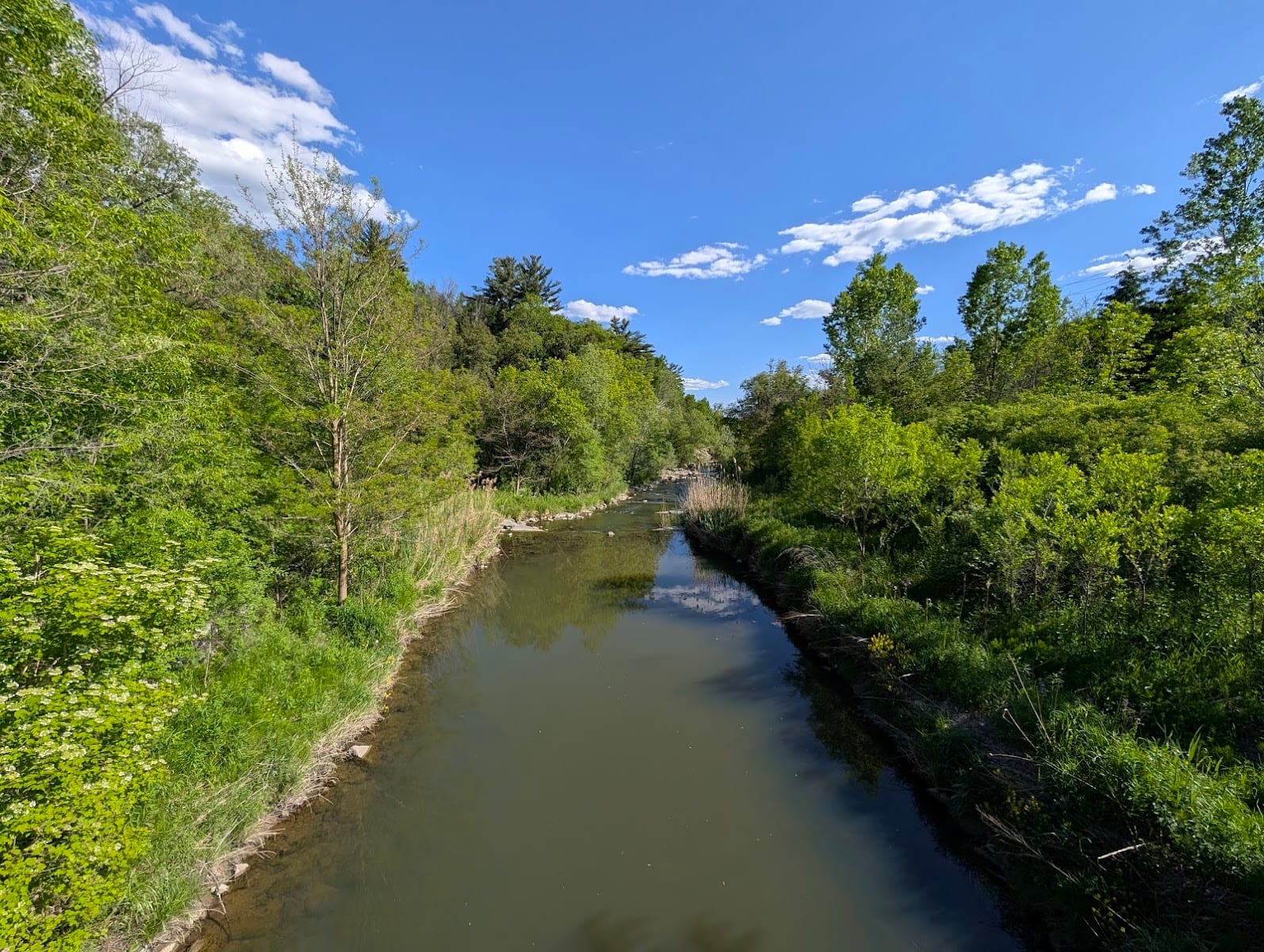 Duncan Creek Trail