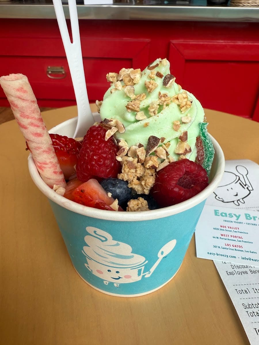 Easy Breezy Frozen Yogurt, photo 3