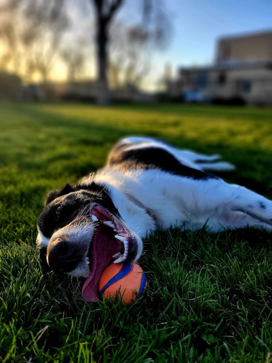 Kilowatt Park, photo 3