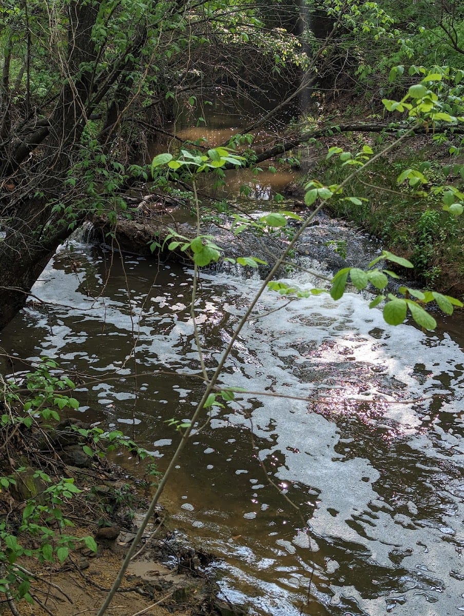 Wilkerson Park, photo 3