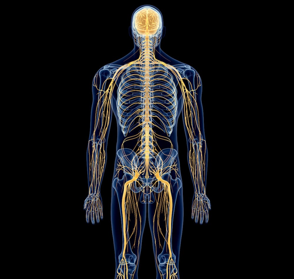 Andrew Cook Craniosacral therapy, photo 2