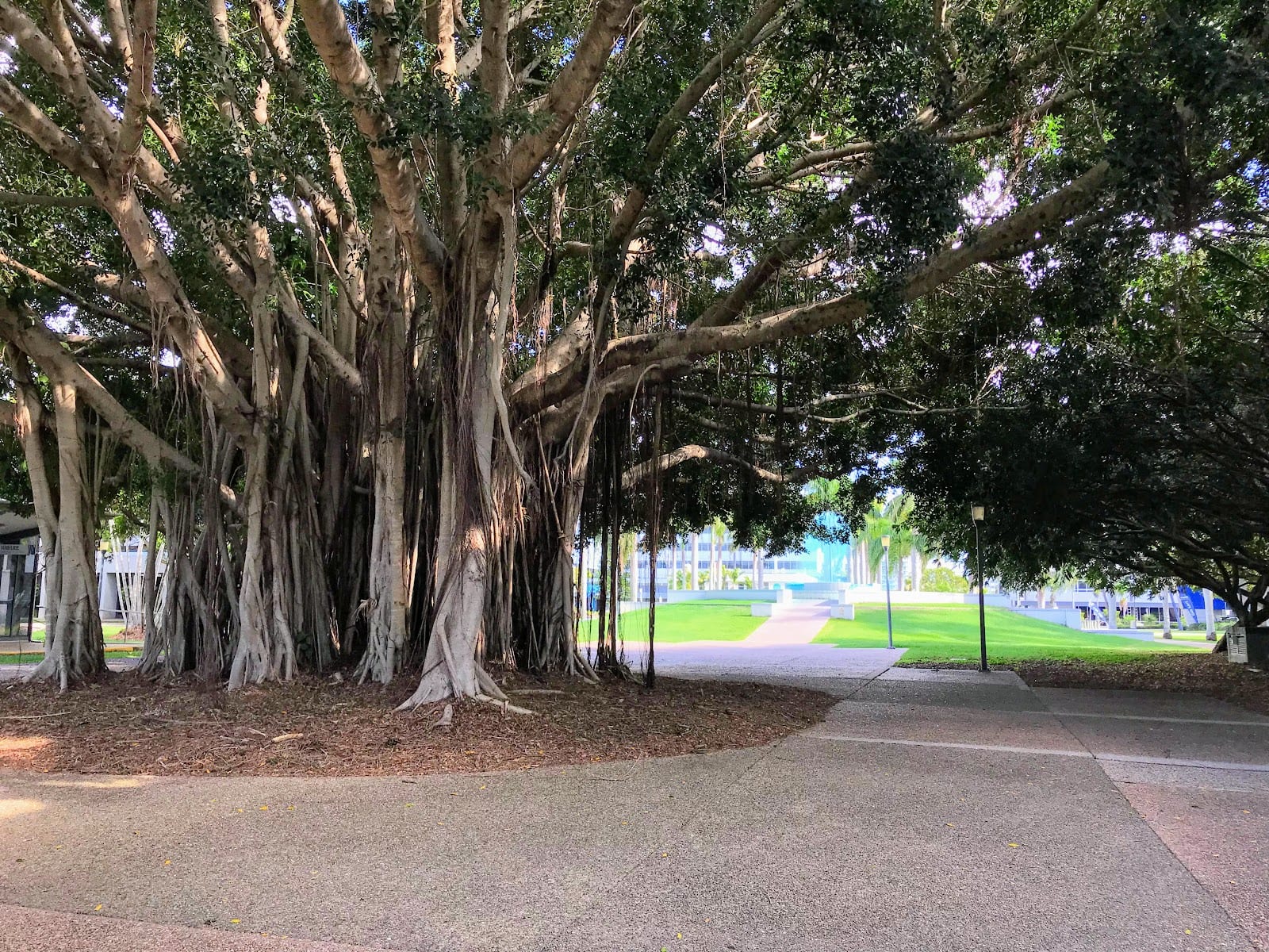 Jubilee Park, photo 2