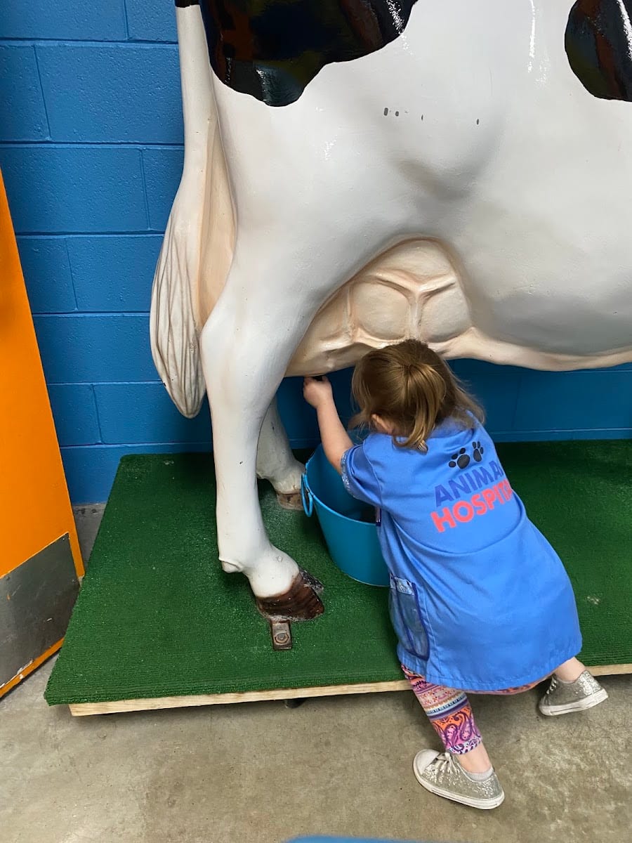 Beaumont Children's Museum, photo 4