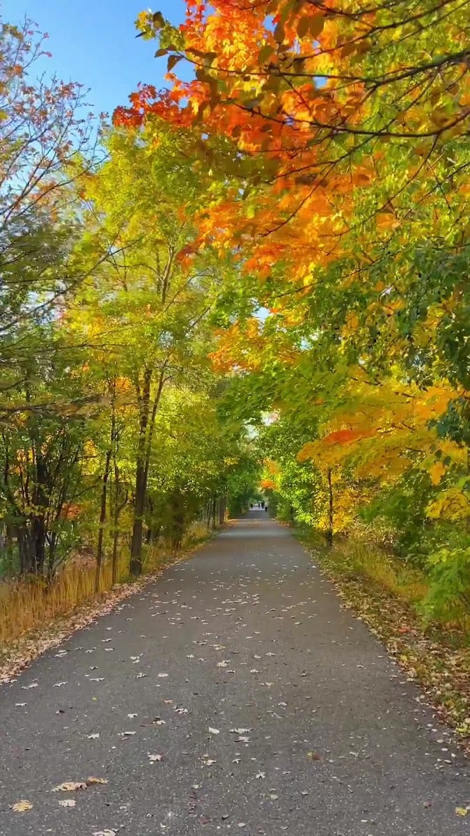 Don Mills Trail, photo 2