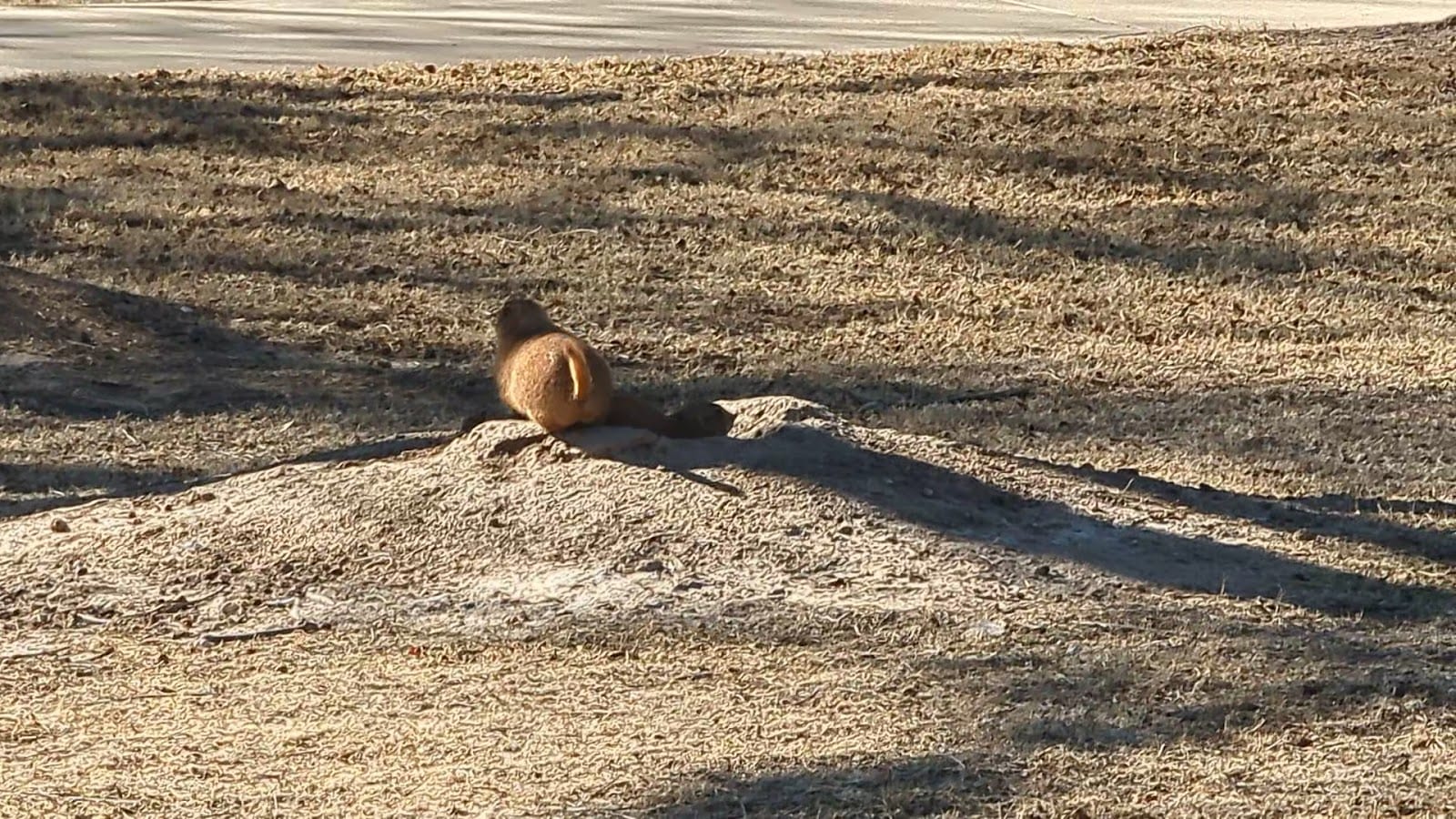 Hodges Park, photo 2