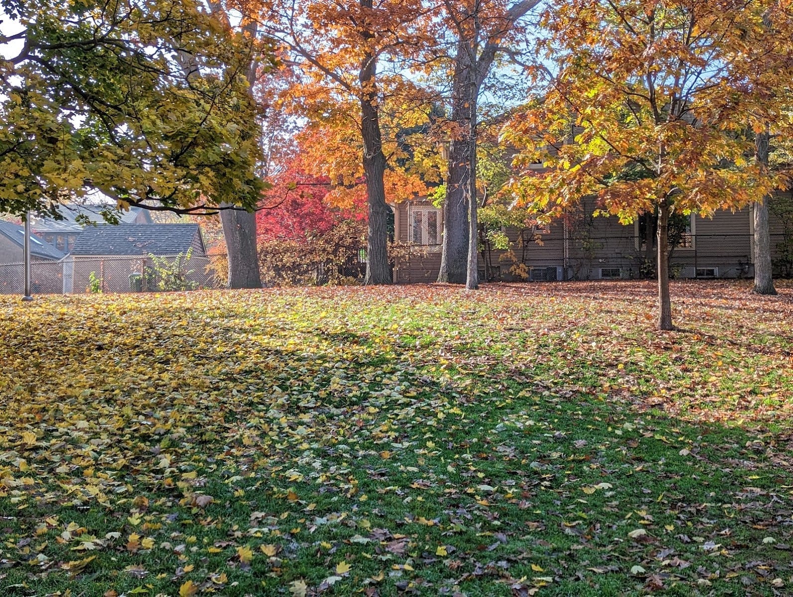 Cassels Park, photo 3