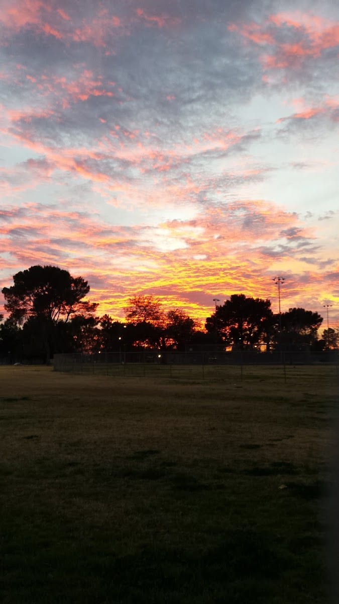 Mission Manor Park, photo 3