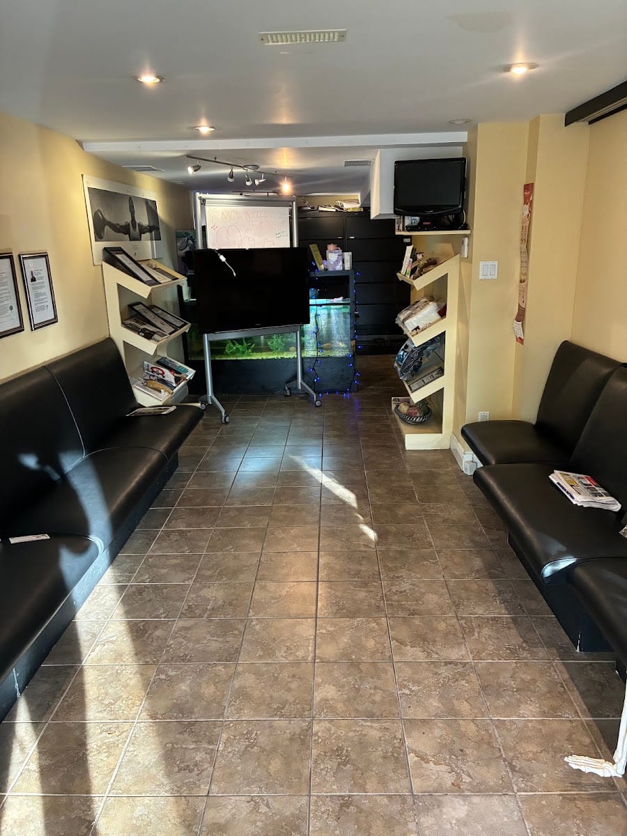 Morgan Chiropractic & Wellness