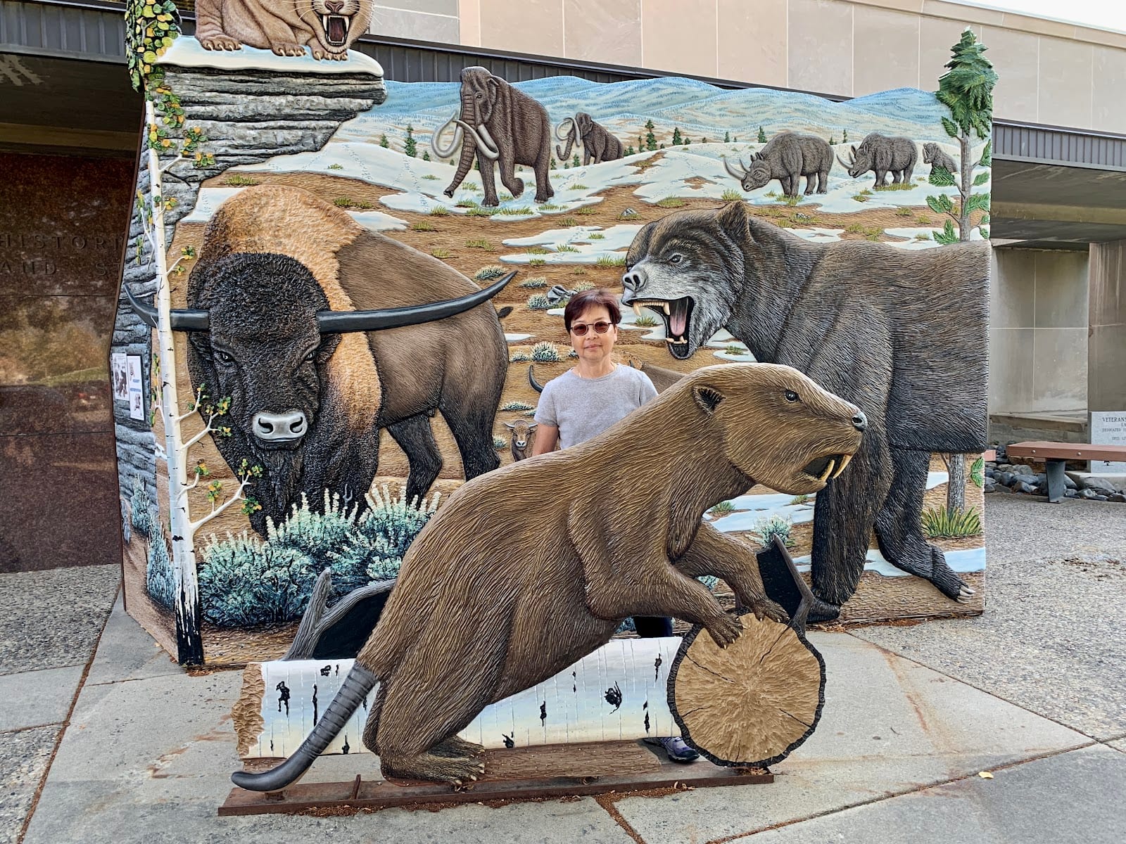 Montana Heritage Center, photo 4