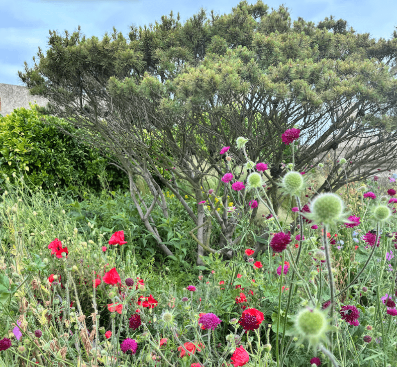 Grounded Garden Design, photo 2