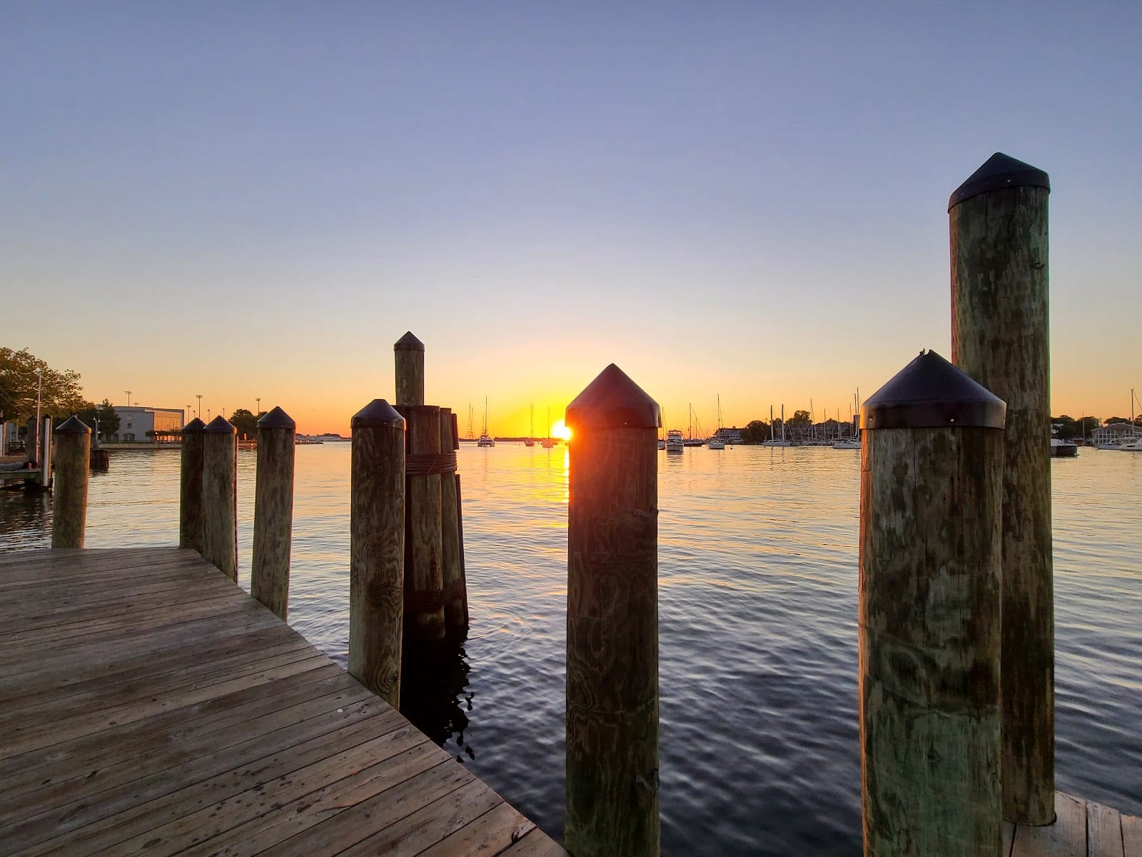 Susan Campbell Park