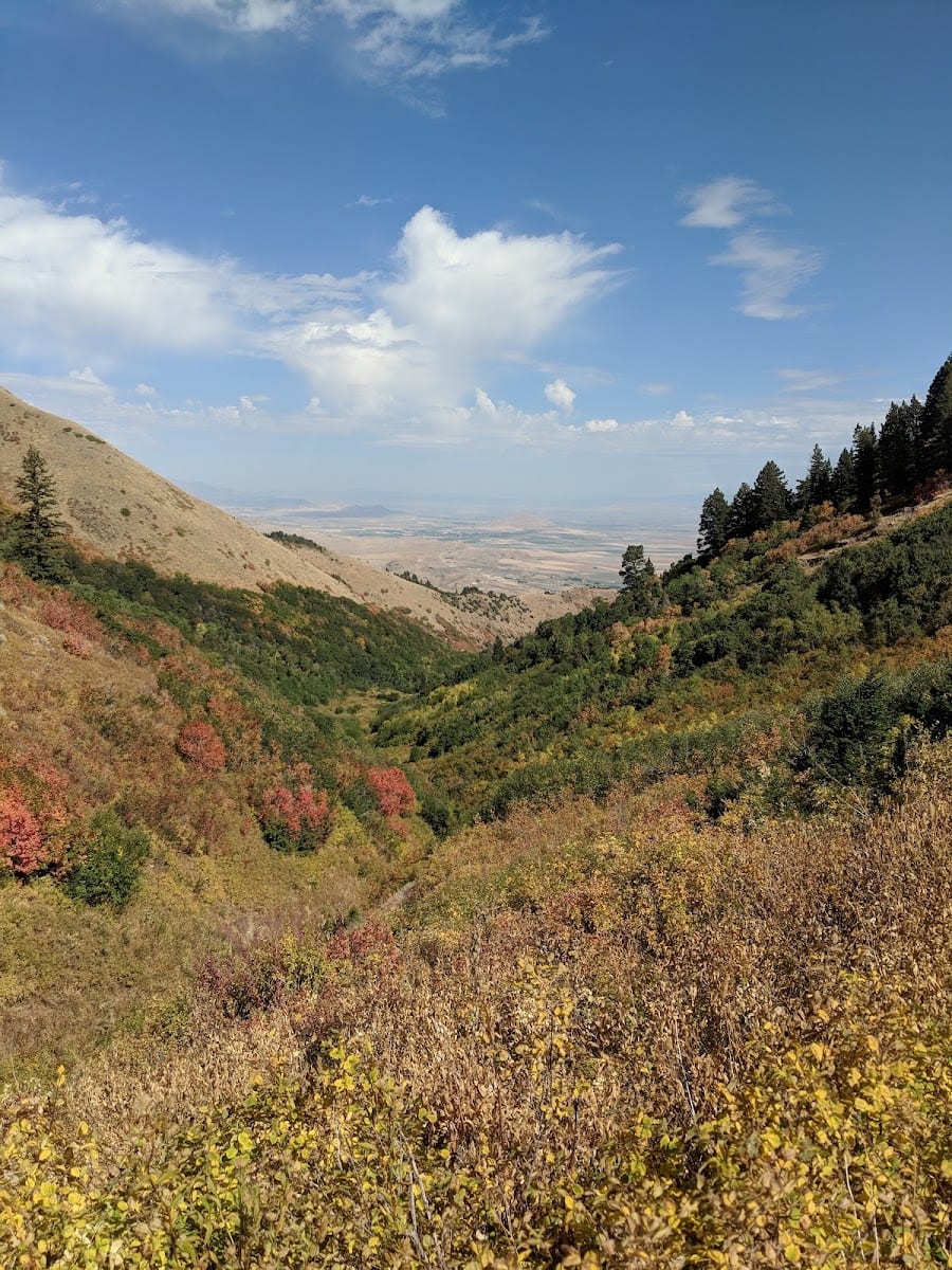 Wellsville Mountain Wilderness, photo 2
