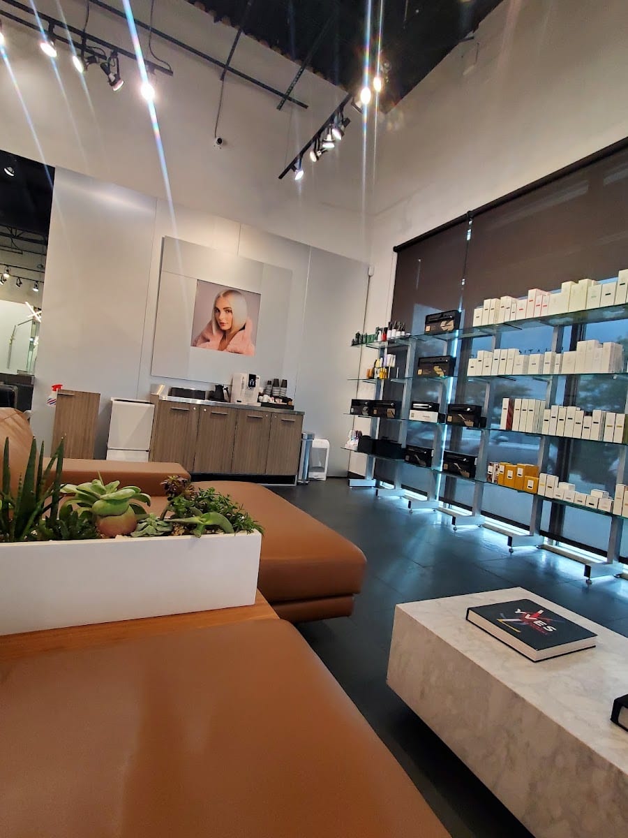 Lunatic Fringe Salon - Parleys Way, photo 3