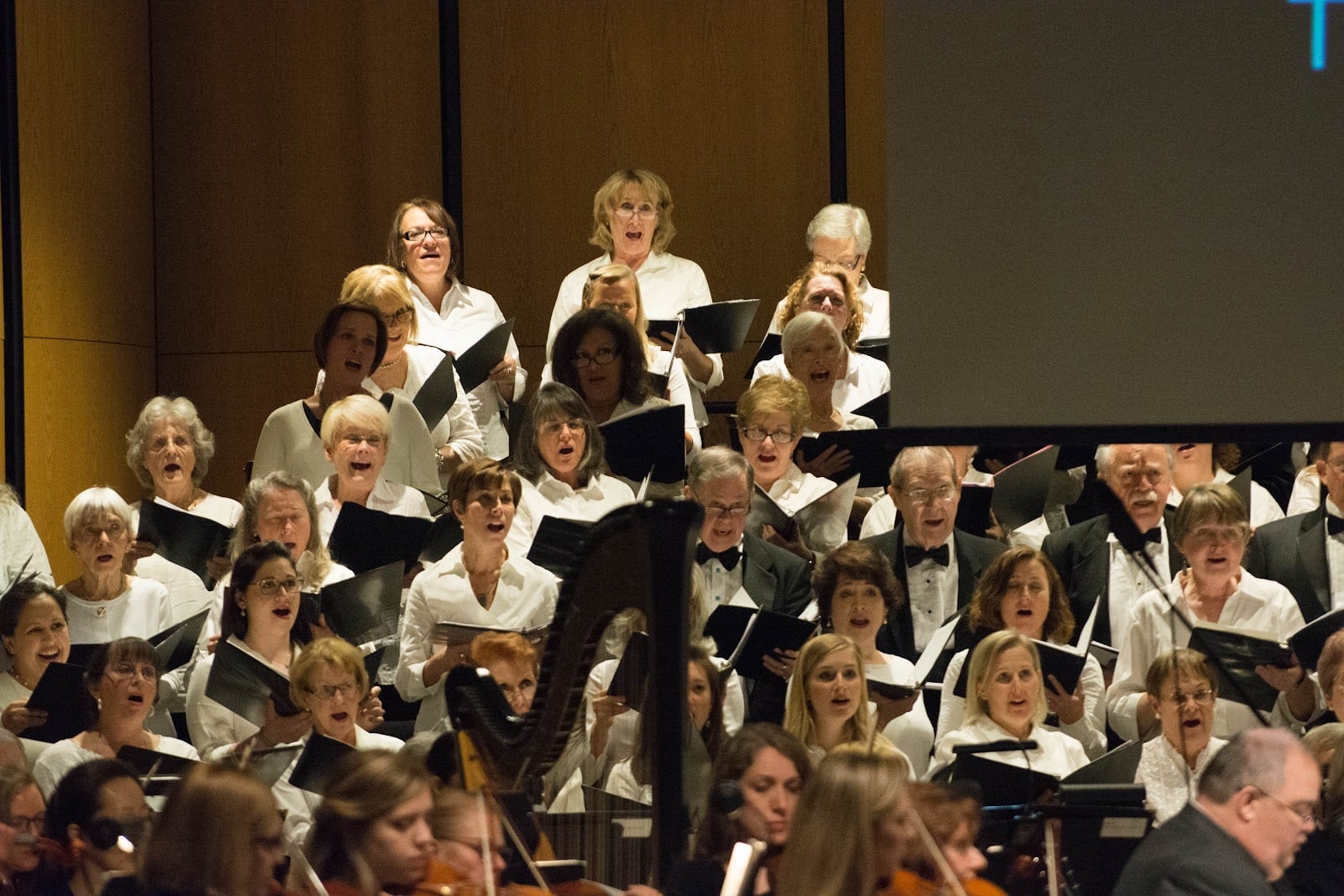 Live Arts Maryland, photo 2