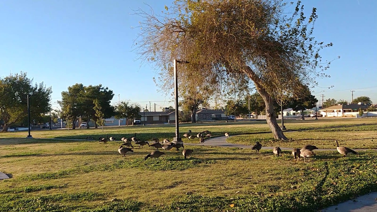 Essex/West Charleston Lions Park, photo 2