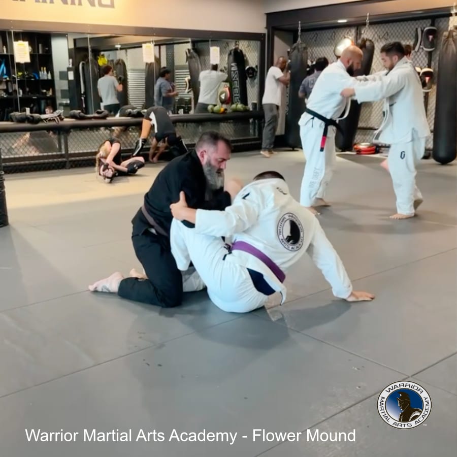 Warrior Martial Arts Academy Flower Mound