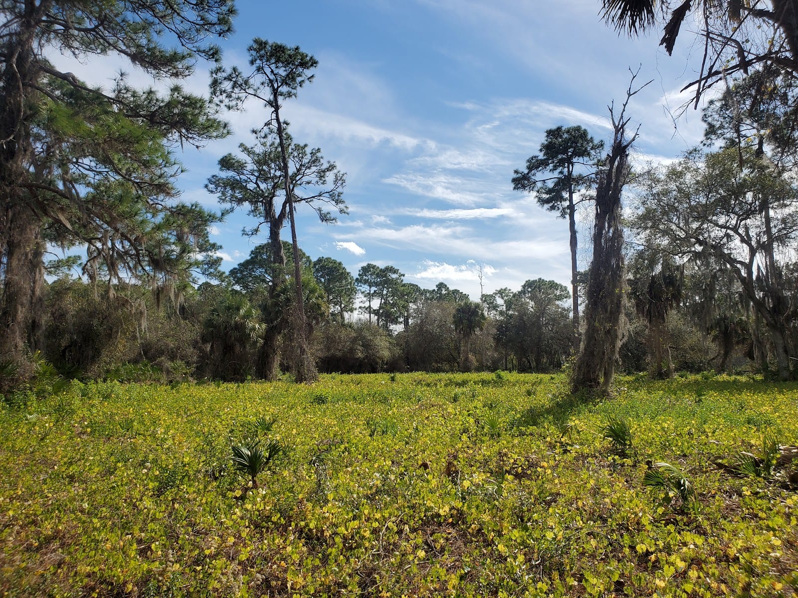 Sleeping Turtles Preserve South, photo 2